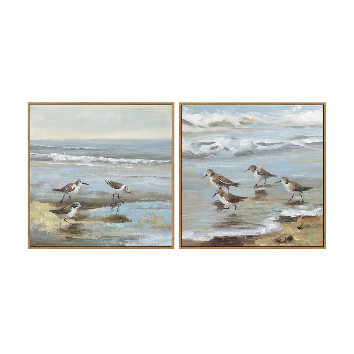 Sandpiper reflections