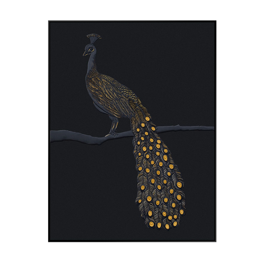 Tail feathers